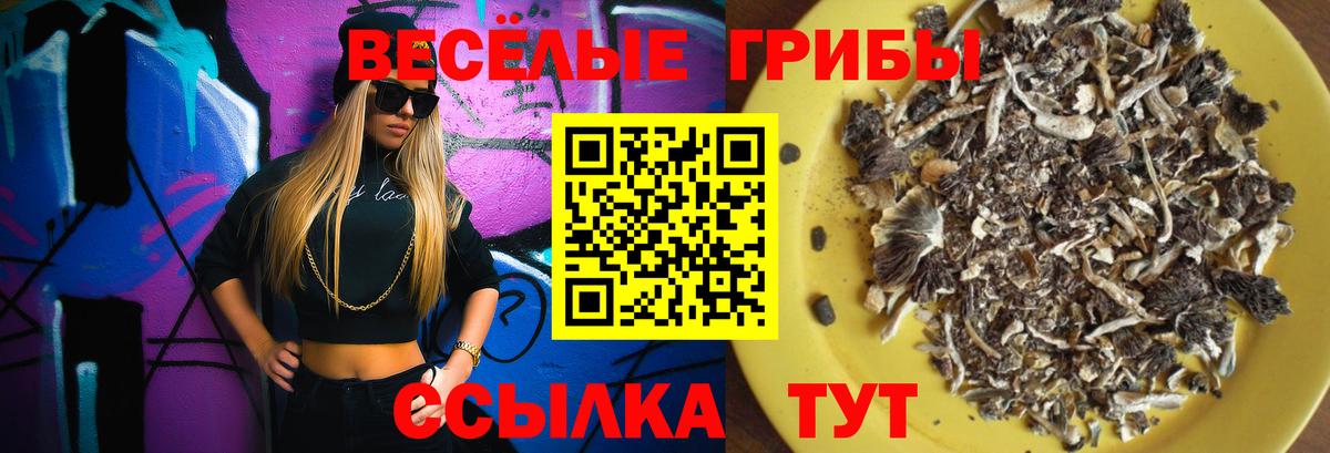 Галлюциногенные грибы мицелий Тольятти